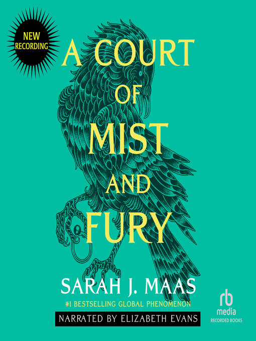 Title details for A Court of Mist and Fury by Sarah J. Maas - Wait list